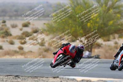 media/Apr-10-2022-SoCal Trackdays (Sun) [[f104b12566]]/Turn 5 Tree of Life (1040am)/